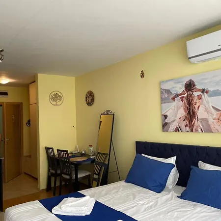 Blue Orchid Near Airport & Free Parking Appartement